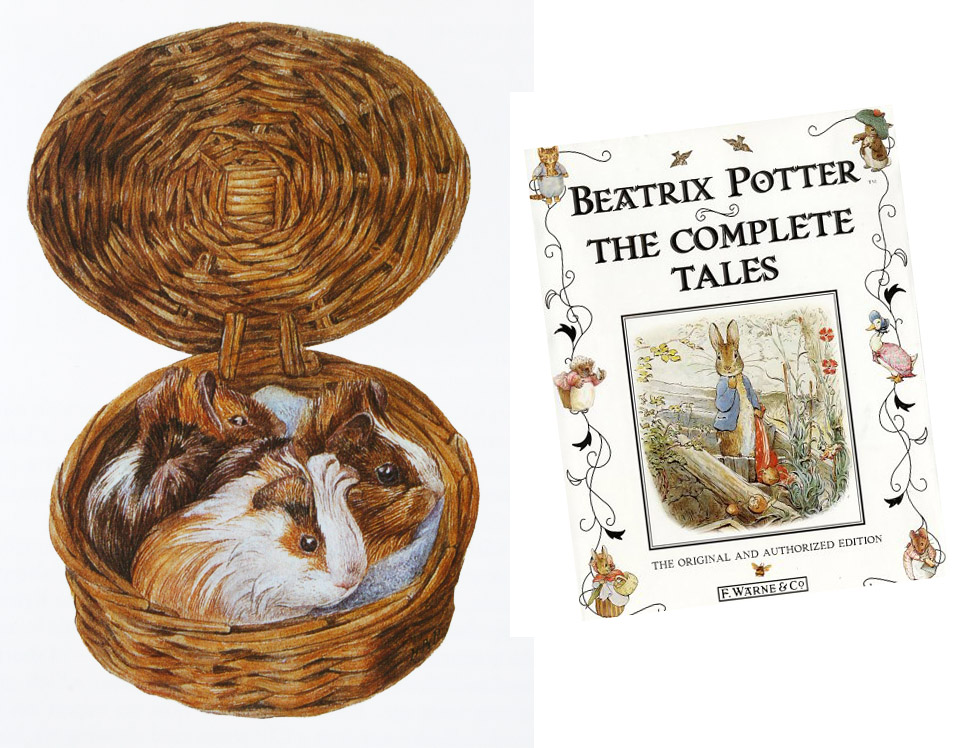 [Beatrix_Potter_Peter_Rabbit.jpg]