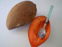 mamey sapote; a tropical fruit in Hawaii