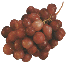 RESVERATROL en nueces y uvas contra el envejecimiento