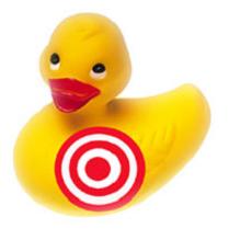 [duck+target.jpg]