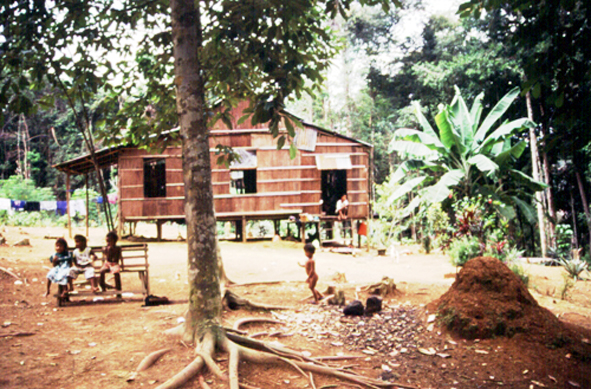 Darin & Maggie's Blog: Serendah: A Glass House in the jungle