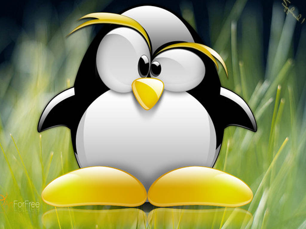 [Evil+Tux+Wallpapers+Mad+Penguin+is+Free+to+Desktop.jpg]