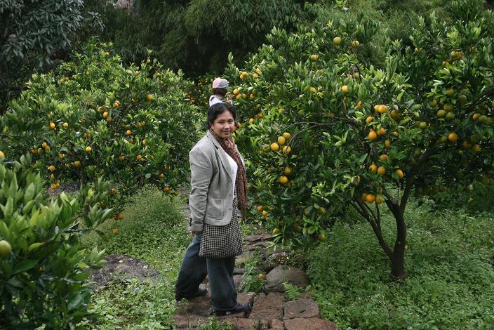 [Jenny+in+Sagada,+Lemon+Orchard,+Nov+2007]