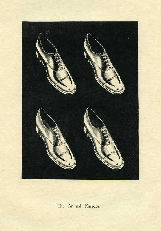 [four-shoes.jpg]