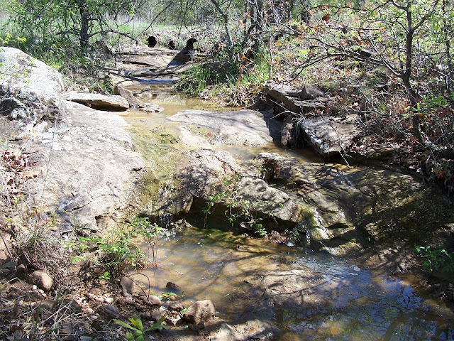 A rocky creekbed with a bird standing in a puddle.