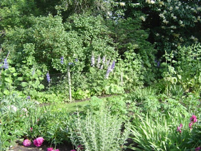 Perennial garden