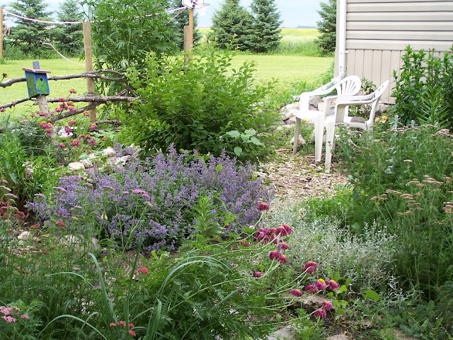 Lawn chairs, fence, and birdhouse in perennial garden