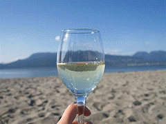 picture of glass of white wine being held in the air, as if to say cheers, with the sand and blue water and sky as background