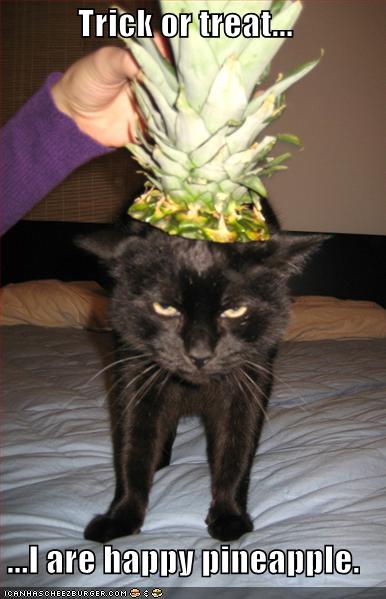 [lolcats-funny-pictures-happy-pineapple.jpg]
