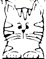 [cat+closeup+sketch.jpg]