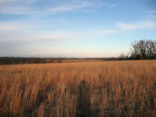 Missouri prairie photo by N8