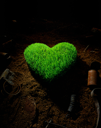 [green-heart.jpg]